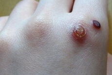 Ѱ�����Σ��������Щ