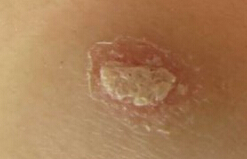 ţƤѢ������������Щ