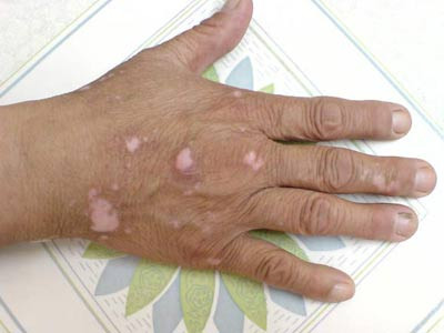 �����ļҿ�ݡ�����