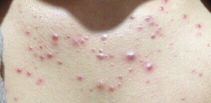 �����ļ�ҽԺ�ζ�����